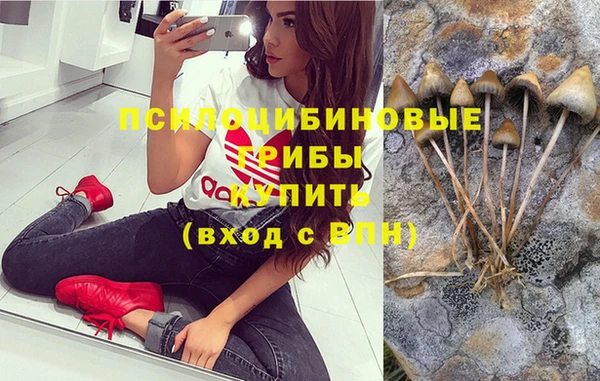 ПСИЛОЦИБИНОВЫЕ ГРИБЫ Алексеевка