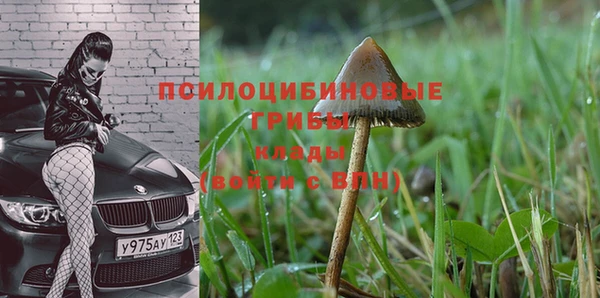 спиды Алексин