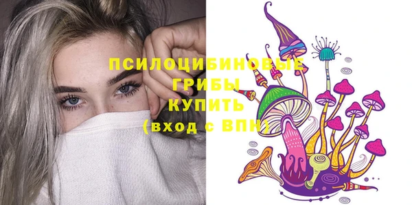 спиды Алексин