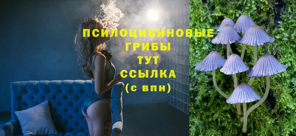 спиды Алексин